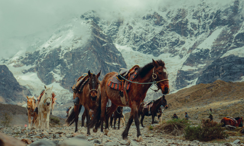 Alquila un caballo hacia la Laguna Humantay caballos humantay - Alquila un caballo hacia la Laguna Humantay