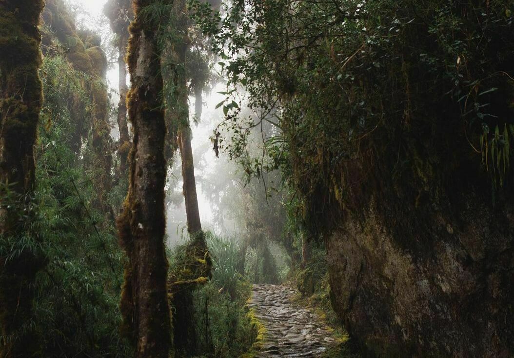 Useful Information for Travelers camino inca amanecer - Useful Information for Travelers