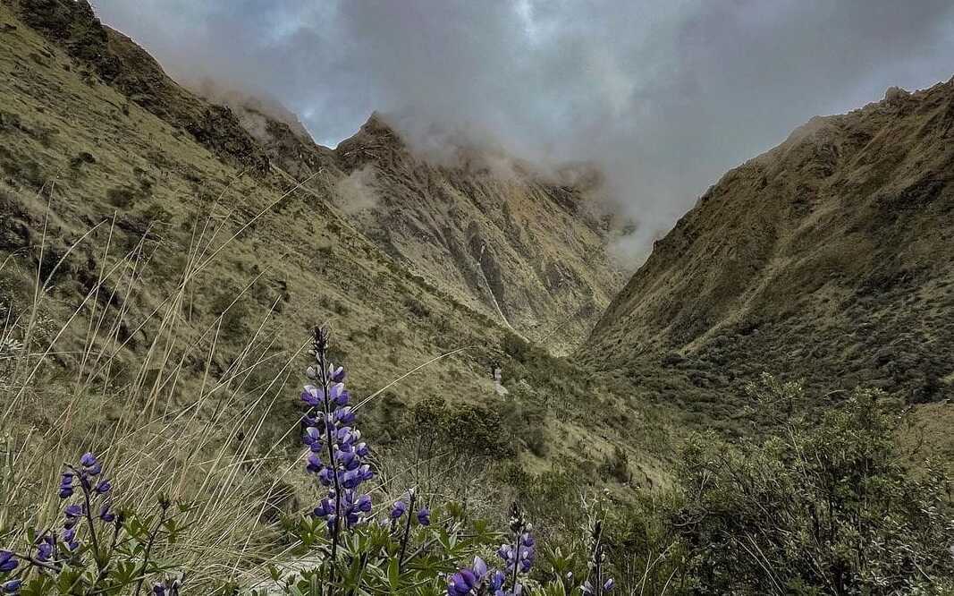 las montanas camino inca
