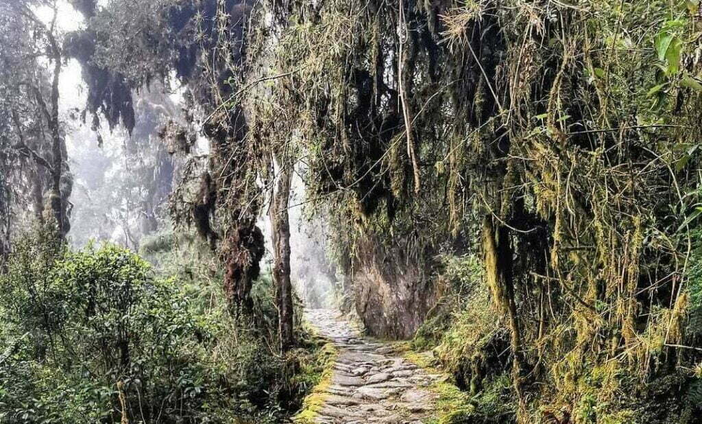 the inca trail 1024x618 - donde comienza el camino del inca