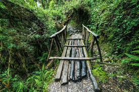 puentes de tronco - caminos y puentes incas