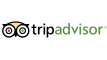 tripadvisor-500x281-1.png
